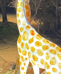 agnes b. | Tシャツ/カットソー