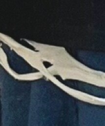 GU | その他トップス