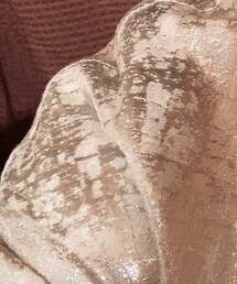 しまむら | ブルゾン