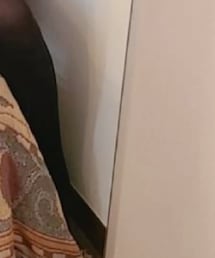 calzedonia | レッグウェア