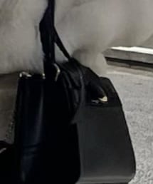FERRAGAMO | ショルダーバッグ