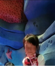 サニーランドスケープ | Tシャツ/カットソー