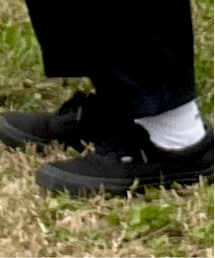 VANS | スニーカー