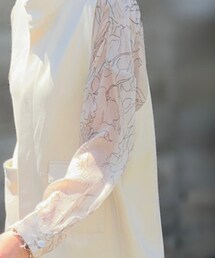 antiqua | シャツ/ブラウス