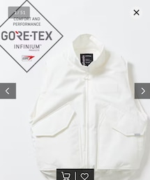 +phenix | +phenix  別注 GORE-TEX DOWN FLIGHT VEST(ダウンベスト)
