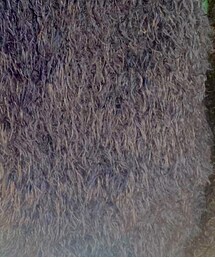 DURAS | ニット/セーター