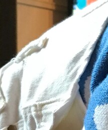 Lee | ペットウェア