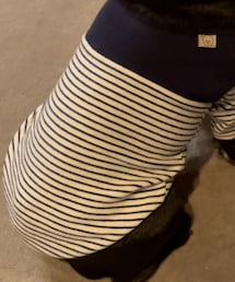 Handmade | ペットウェア