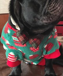 xmas | ペットウェア