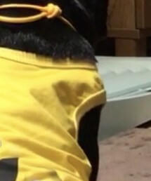 M&M | タンクトップ