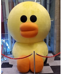 渋谷公会堂 | フィギュア