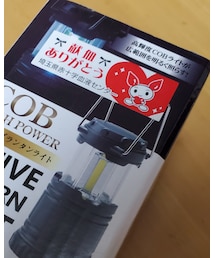 ランタン | その他