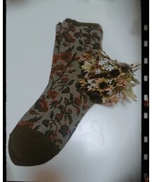 tutuanna | ソックス/靴下