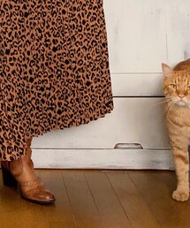 今日のナツメさん🐈 | その他