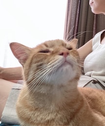今日のナツメさん | その他