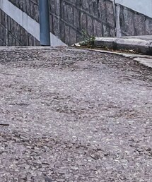 BEAMS | ハンドバッグ