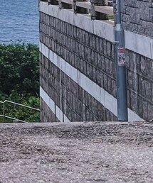 MUJI Labo | カーゴパンツ