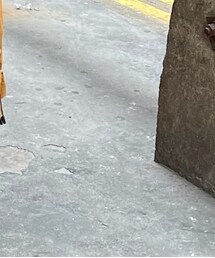 adidas | スニーカー