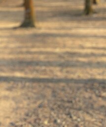 NIKE ACG | その他アウター