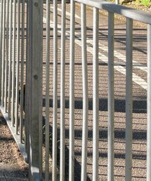 WTAPS | その他シューズ