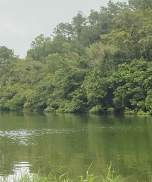 RACAL | キャップ