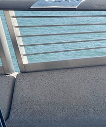 WTAPS | キャップ