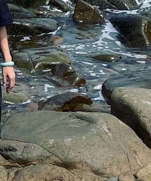 Supreme  | Tシャツ/カットソー