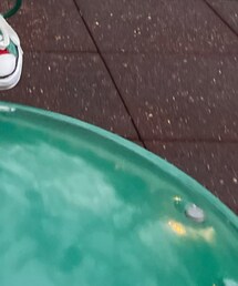 MIHARAYASUHIRO | スニーカー