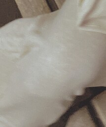 GU | スウェットパンツ