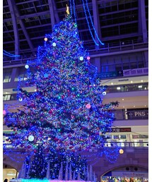 サッポロファクトリーのツリー | その他