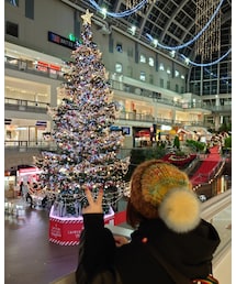 上から見たツリー | その他