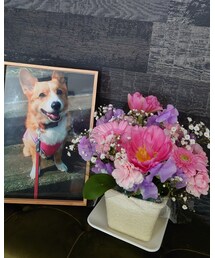 Riちゃんありがとう | その他