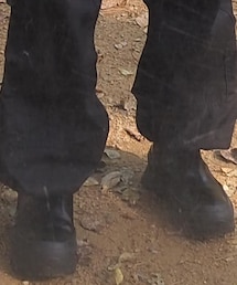 JIL SANDER | ブーツ