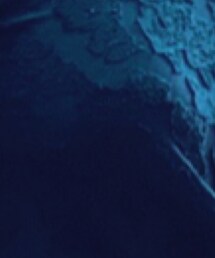 ZARA | Tシャツ/カットソー