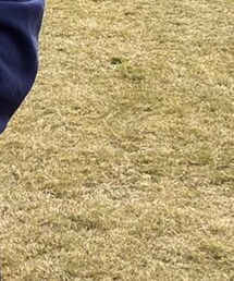 古着 | スウェット