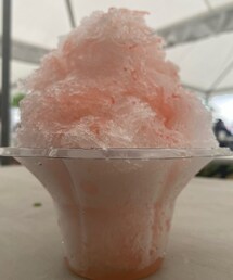 グァバとモモのかき氷 | その他