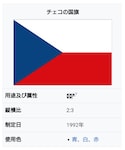 チェコ国旗の「その他(採寸ボディースーツ)」
