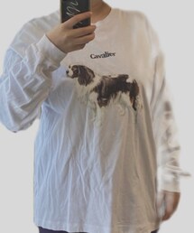 BEAUTY&YOUTH UNITED ARROWS | Tシャツ/カットソー