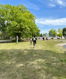 太閤山ランド🍙 | その他
