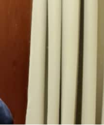 Russell Athletic | パーカー