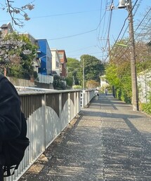 CELINE | ピアス（両耳用）