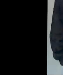 Supreme  | パーカー