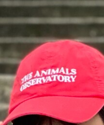 The animals observatory | キャップ