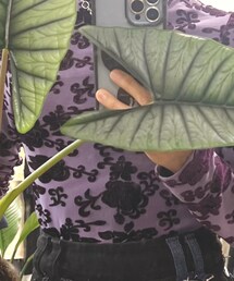 三八計vintage | トップス