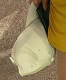 Callaway | キャップ