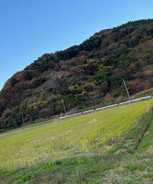 秋山🌳🍁🍂 | その他