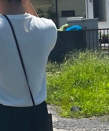 しまむら | トップス