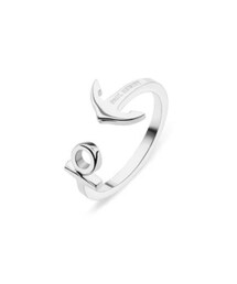 Paul Hewitt | リング