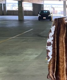 Shein | シャツ/ブラウス