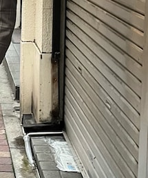 カメマンネン | メガネ